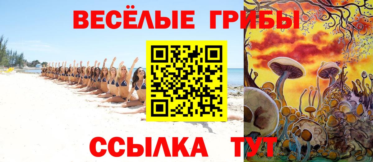 Псилоцибиновые грибы MAGIC MUSHROOMS Новошахтинск
