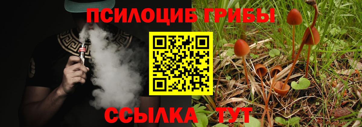 Новошахтинск  Псилоцибиновые грибы прущие грибы  Вход с VPN  Галлюциногенные грибы MAGIC MUSHROOMS 