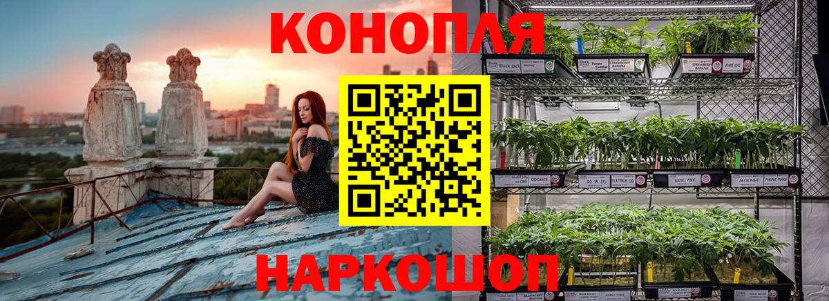 Новошахтинск  Канабис гибрид  Вход с VPN  Марихуана планчик 